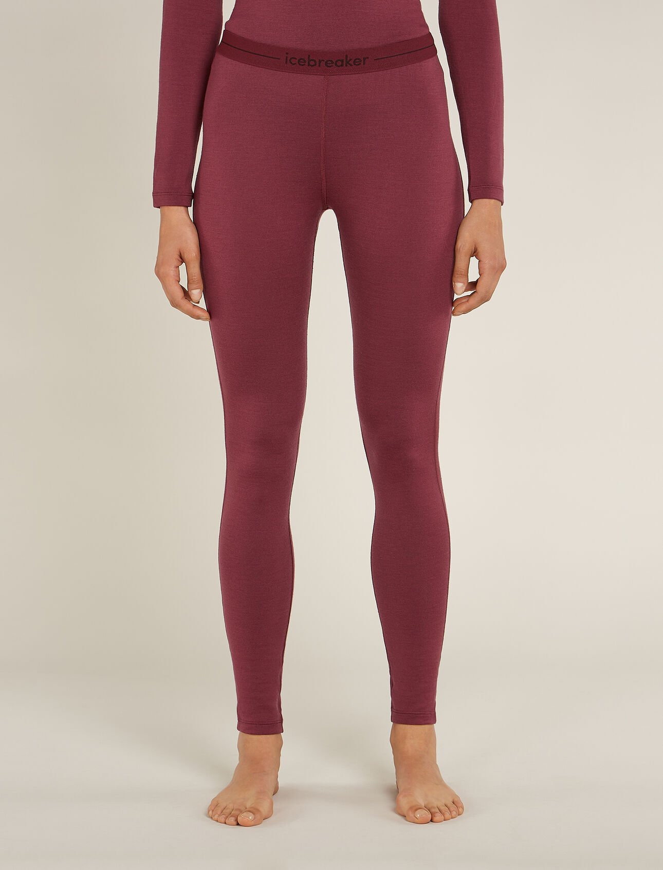 Icebreaker Icebreaker Merino 260 Tech Long Sleeve Half Zip product image 1