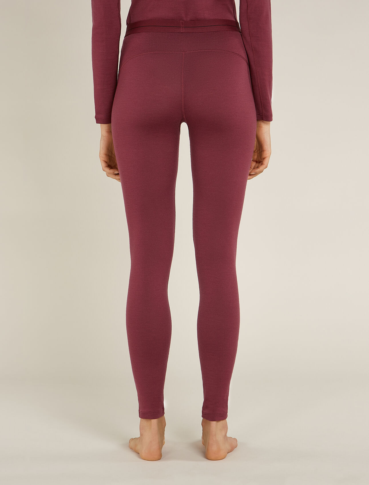 Icebreaker Icebreaker Merino 260 Tech Long Sleeve Half Zip product image 2