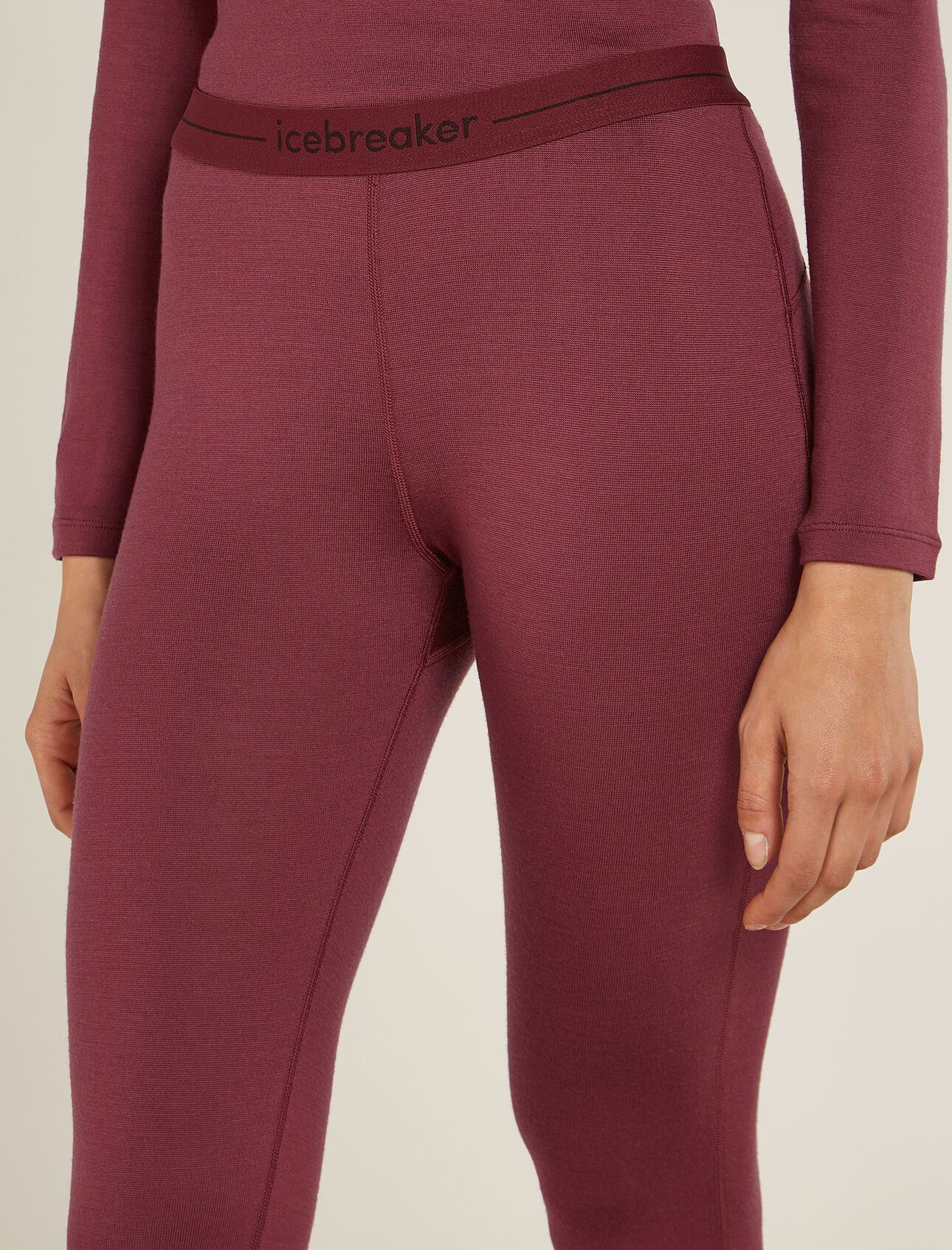 Icebreaker Icebreaker Merino 260 Tech Long Sleeve Half Zip product image 4